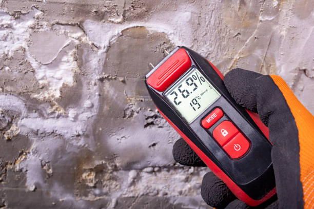 Best Crawl Space Mold Removal  in Pleasant Grove, OH