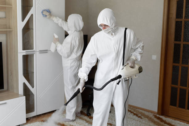 Professional Mold Removal in Pleasant Grove, OH